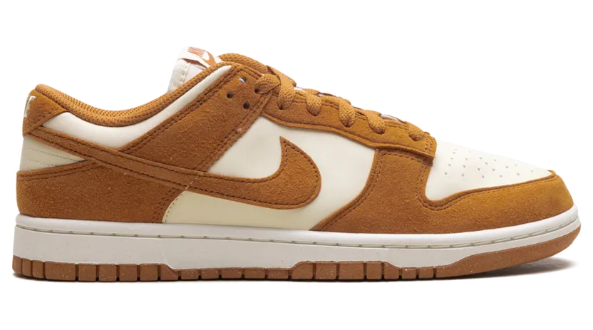 nike-dunk HJ7673-100