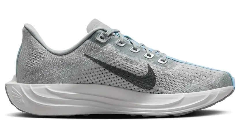 nike-air-pegasus FQ7261-004