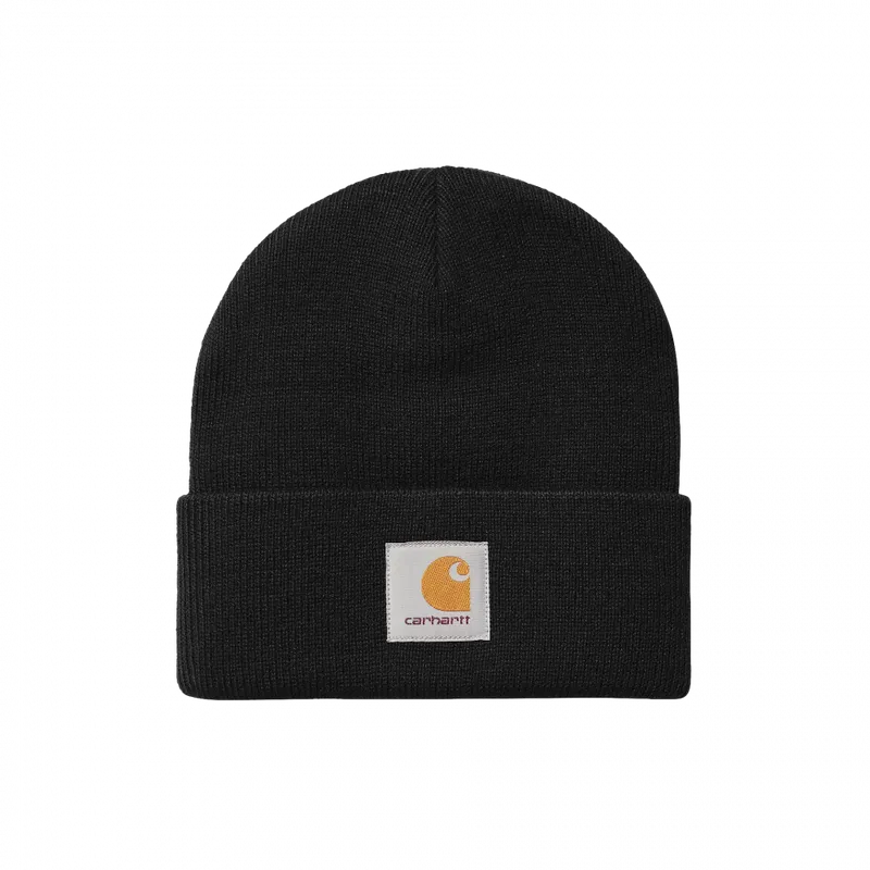 Carhartt WIP Carhartt sneaker black (I03696289XX06)