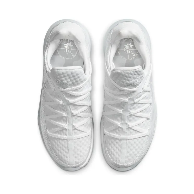 nike-lebron-17 CD5007-103