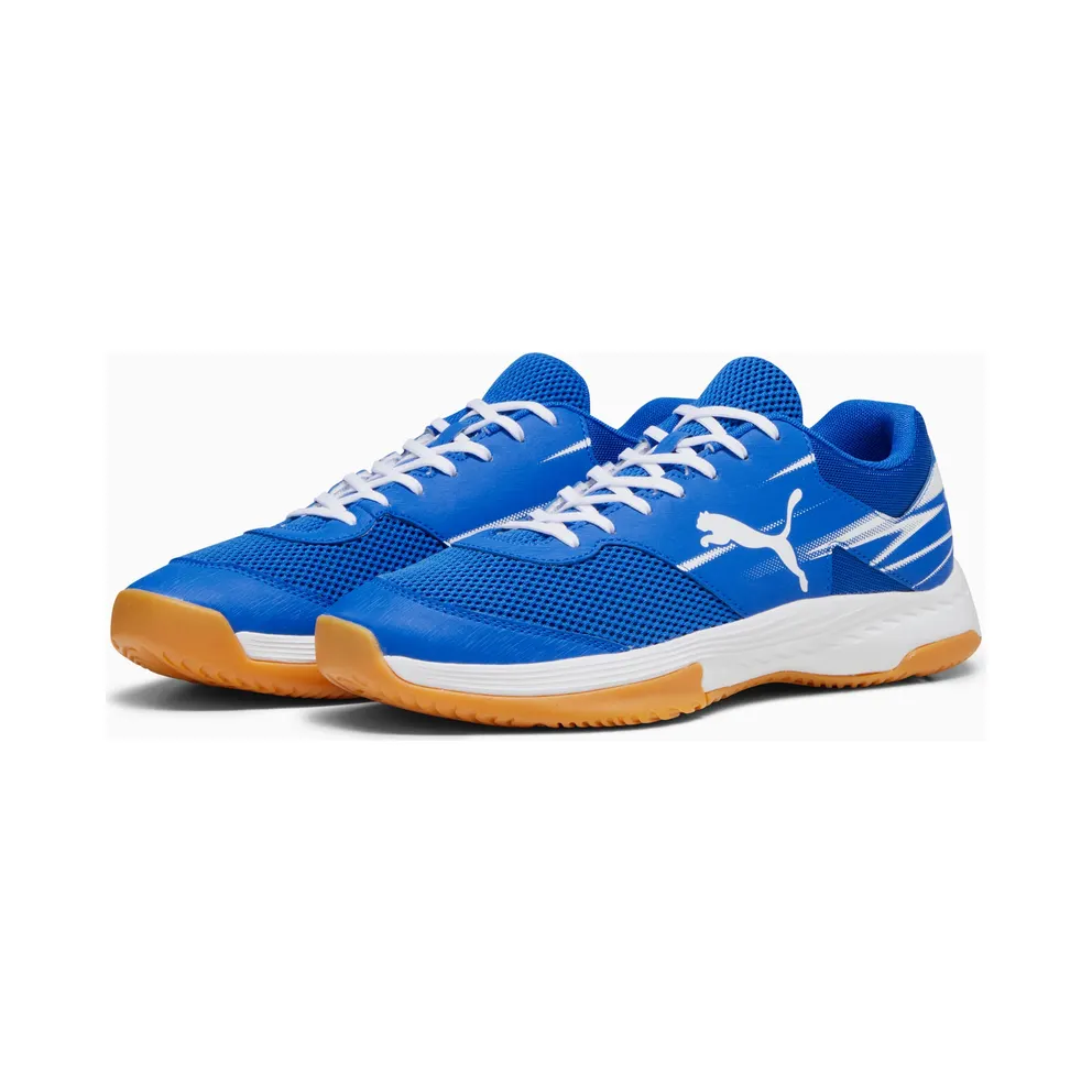 Puma Varion II Indoor Shoes White/Blue (107341-03)