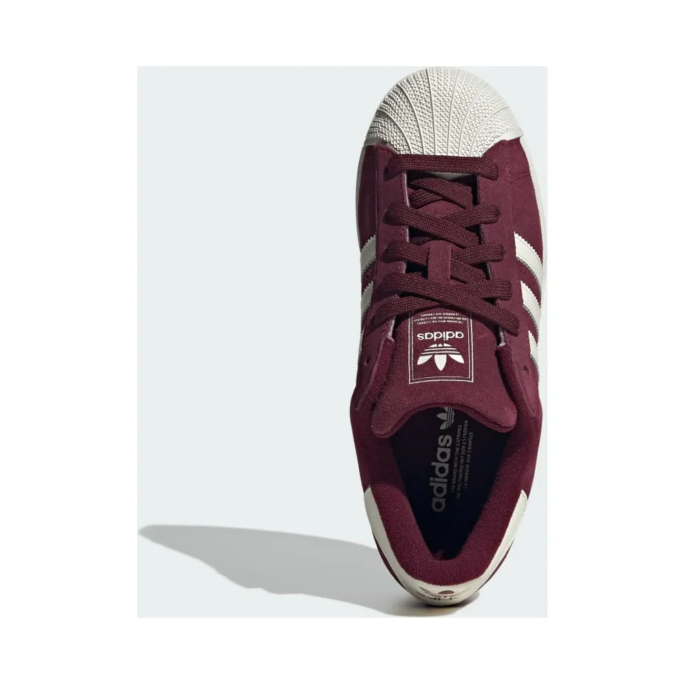 Adidas Superstar Maroon / Off White / Off White (HQ4913)