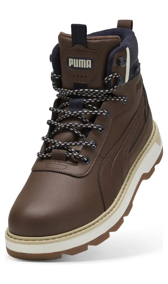 puma-desierto 393928_05