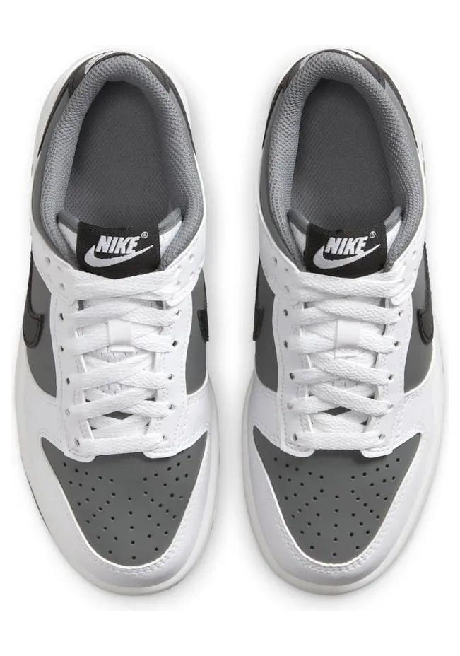 nike-dunk HJ9202-100