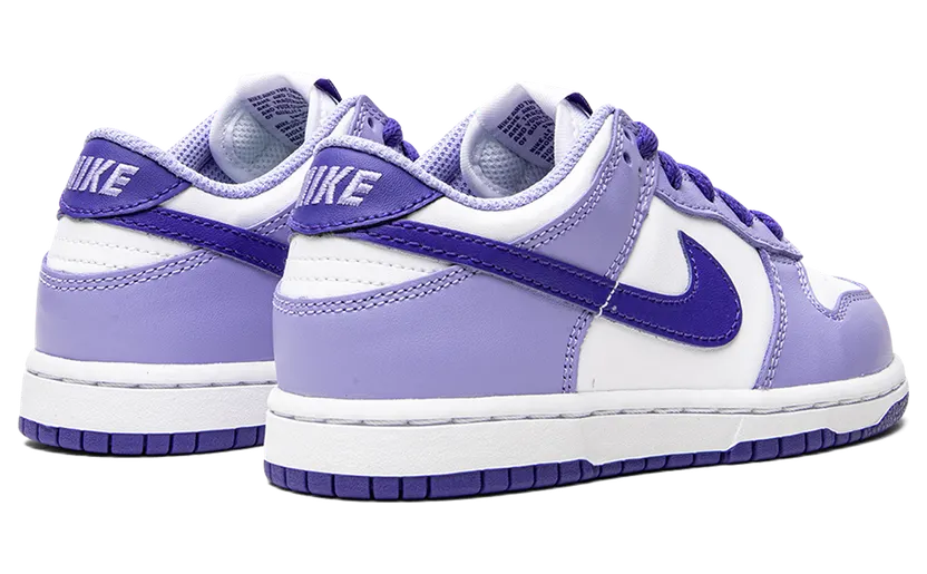 nike-dunk DZ4457-100