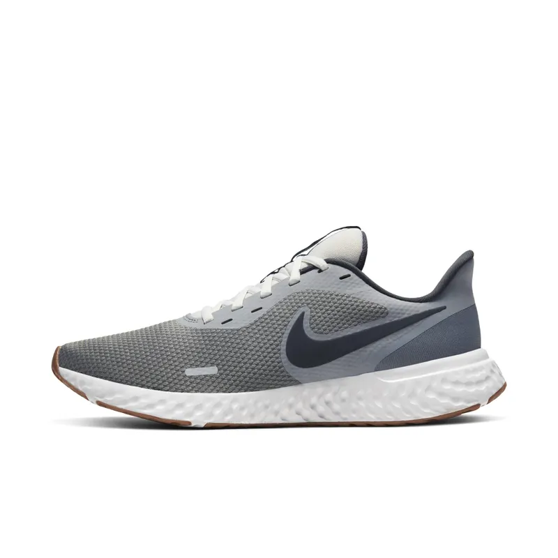 Nike Revolution 5 Smoke Grey Smoke Grey/Photon Dust-Dark Smoke Grey (BQ3204-008)