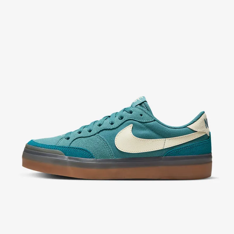 Nike SB Zoom Pogo Plus Noise Aqua (DV5469-401)