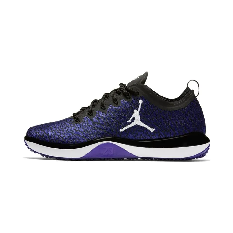 Jordan Trainer 1 Low Concord