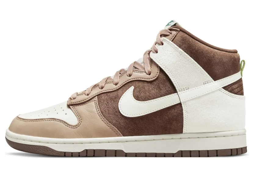 nike-dunk DH5348-100
