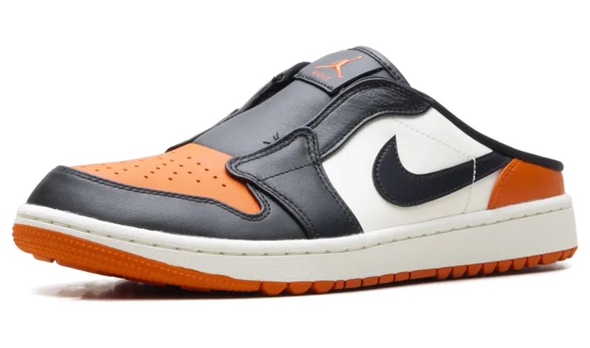 air-jordan-1 FJ1214-800