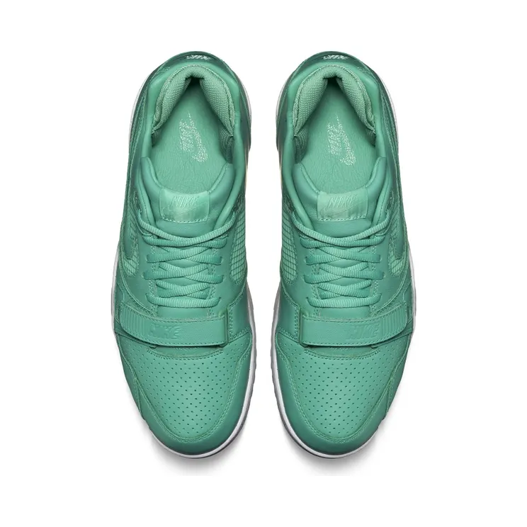 nike-air-trainer 708459-300