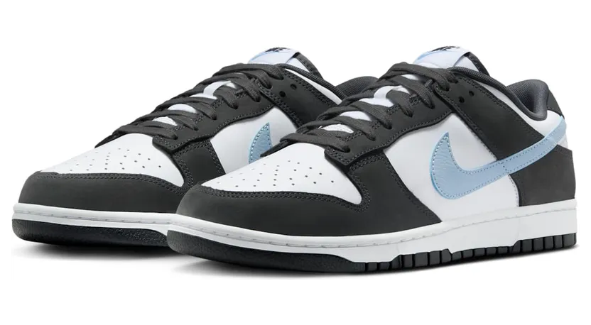 nike-dunk IB3079-100