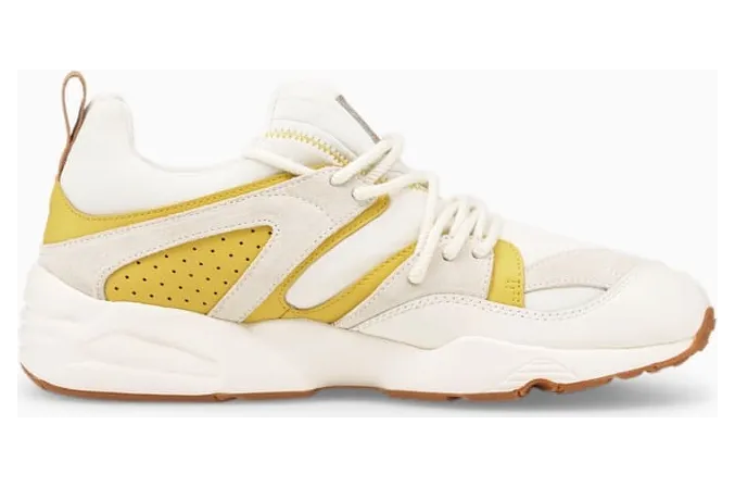 Puma Blaze Of Glory D.South Pristine / Bamboo (384024-01)
