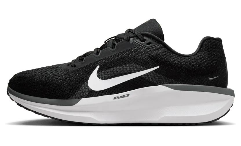 Nike Winflo 11 Black White (FJ9509-001)