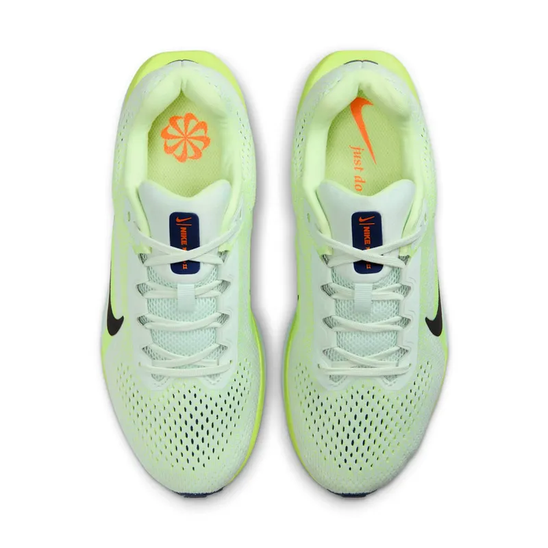 Nike Winflo 11 Green (FJ9510-304)