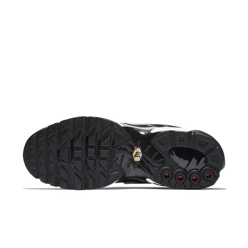 Nike  Air Max Plus Overbranding Black Black/White-Black (815994-004)