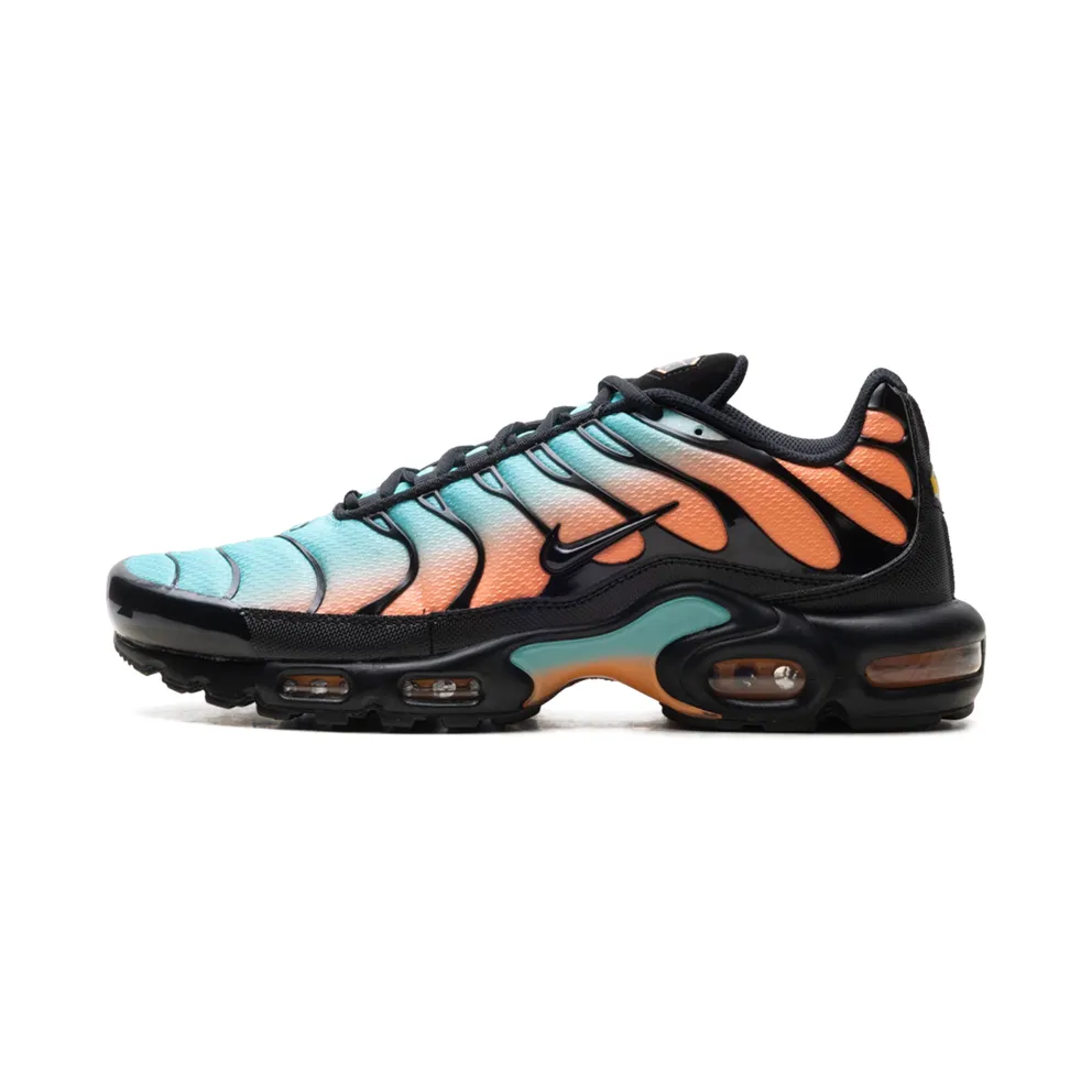 Nike Air Max Plus “South Beach” (DM0032-022)