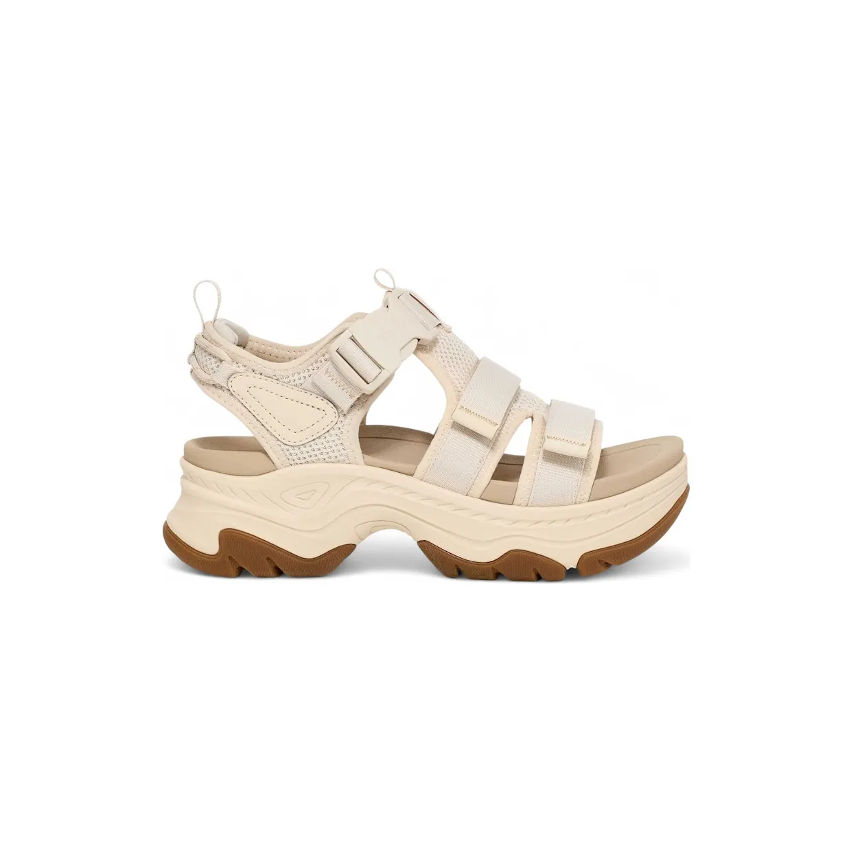 teva-hurricane 1164570-BIR