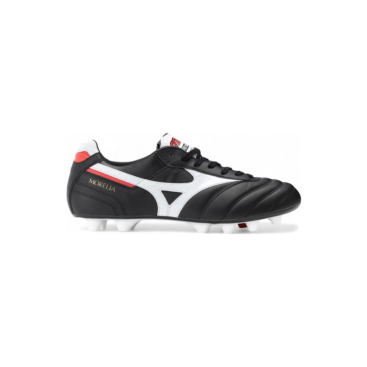 mizuno-morelia P1GA200001