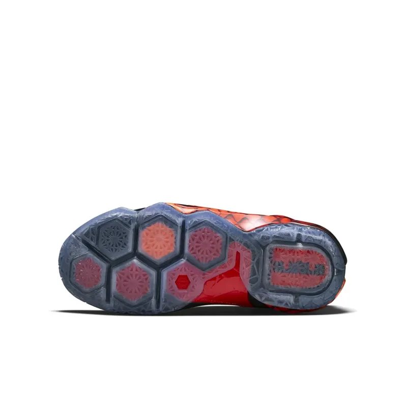 Nike LeBron 12 Reptile (GS) (685181-010)