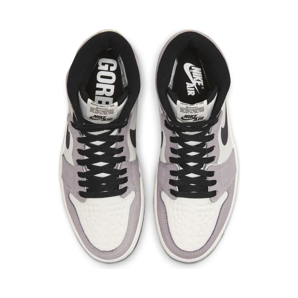 Air Jordan 1 High Element Gore-Tex Light Bone (DB2889-100)