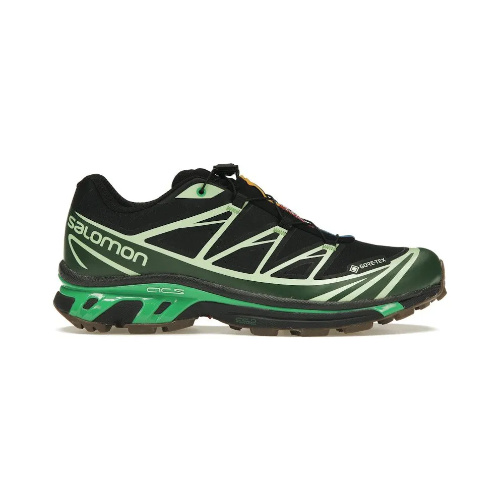 Salomon Advanced XT-6 Gore-Tex Eden Green Ash (L47292100)