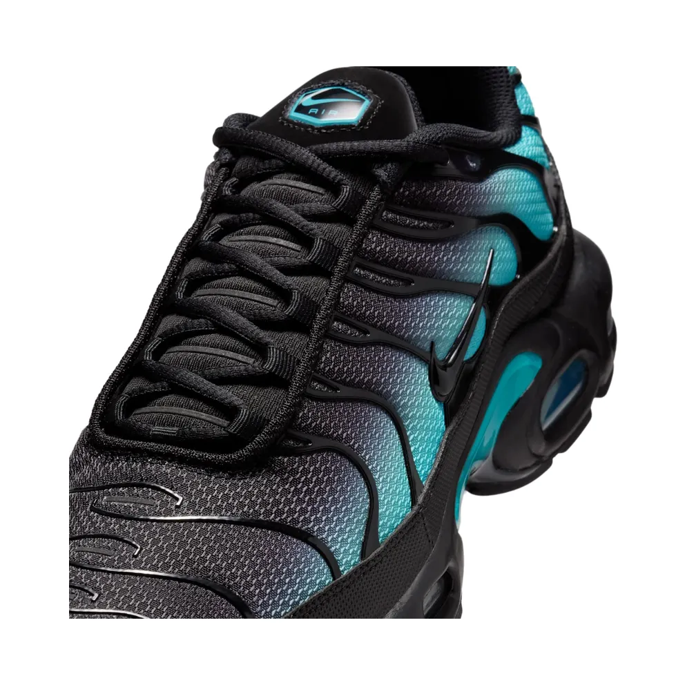 Nike Air Max Plus Black Dusty Cactus (DM0032-016)