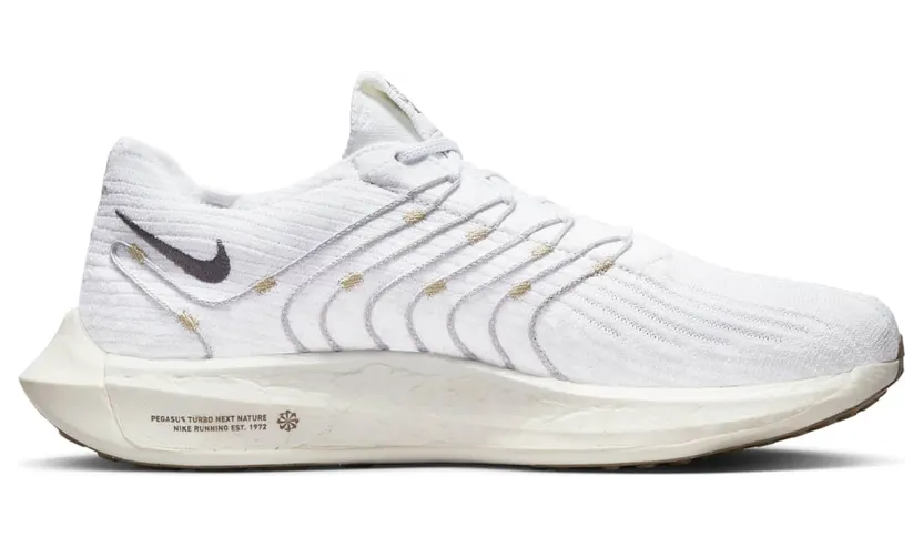 nike-air-pegasus DM3413-100