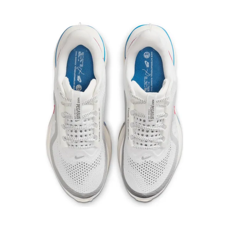 nike-air-pegasus IH7347-111