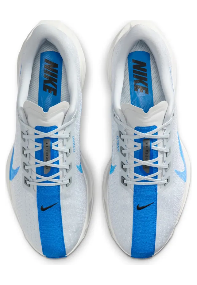 nike-air-pegasus FQ7262-011