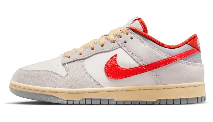 Nike Dunk Low FJ5429-133