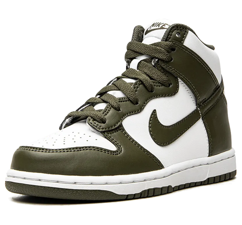 nike-dunk DD2314-105
