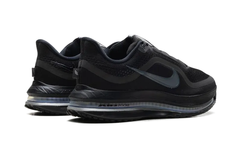 Nike Pegasus Premium “Black Metallic Silver” (HQ2592-005)