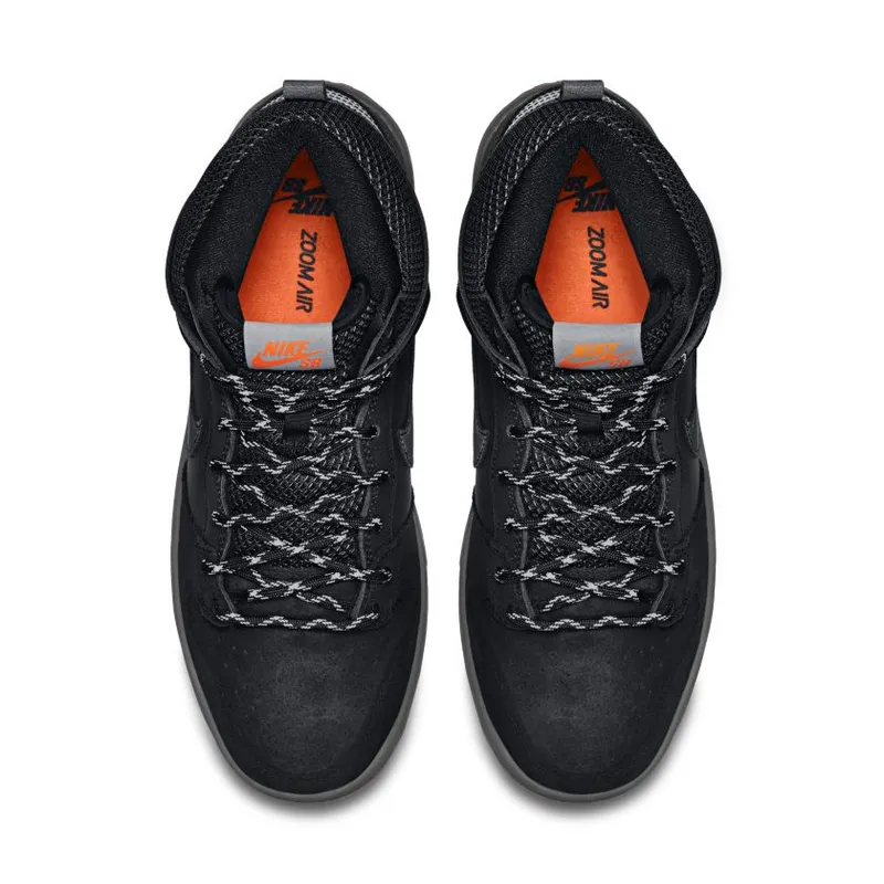 Nike Dunk High PRM Shield (684805-001)
