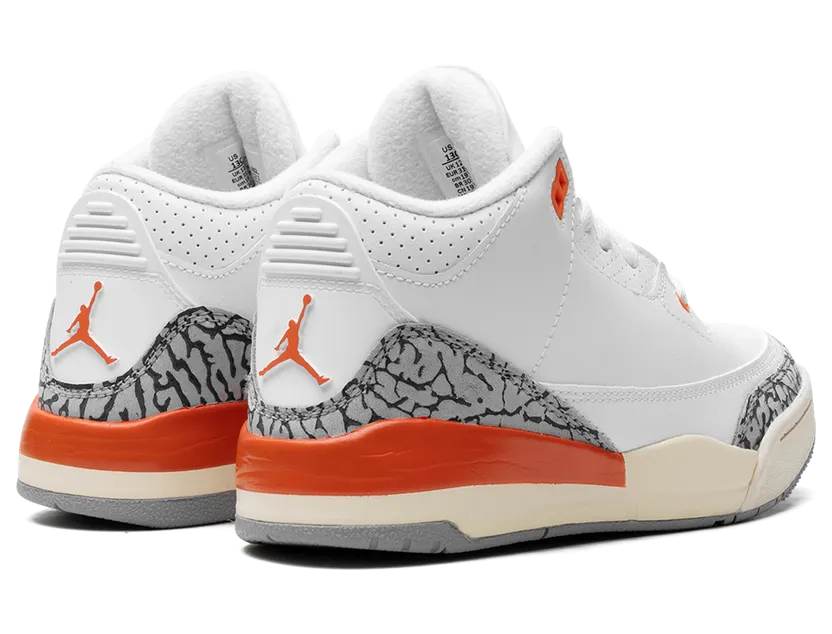 air-jordan-3 FQ9174-121