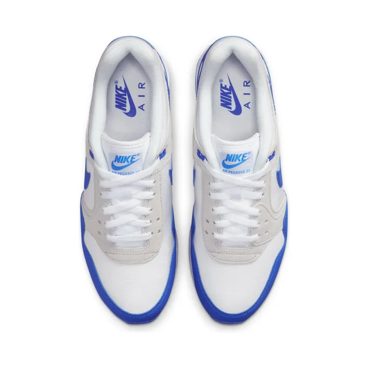 nike-air-pegasus FN3415-100
