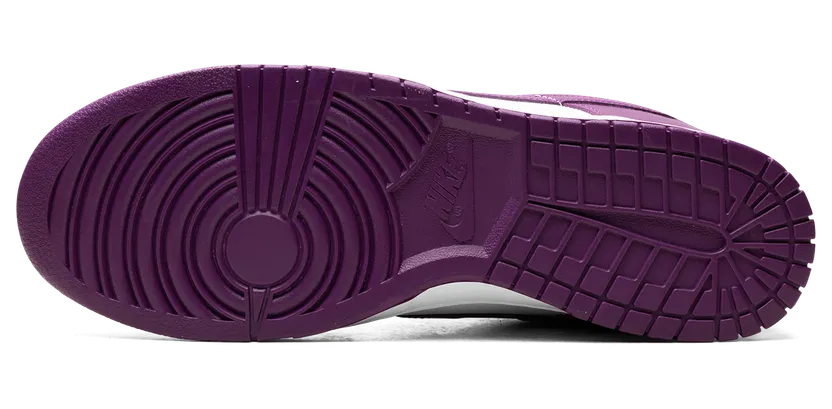 nike-dunk DV0833-107