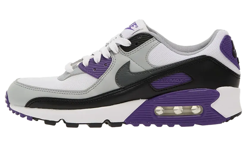 Nike Air Max 90 “Neutral Grey Purple” (DH8010-110)