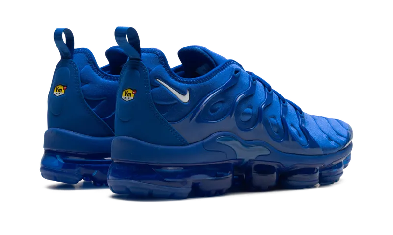Nike Air VaporMax Plus “Blue” (HJ9148-480)