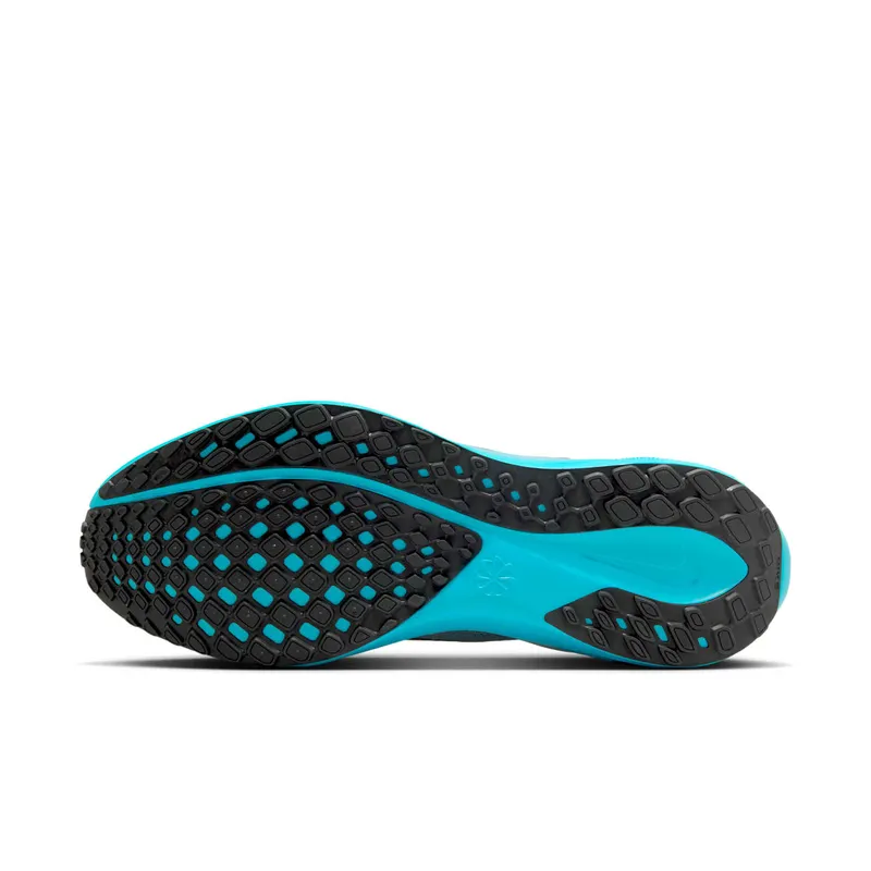 Nike Air Zoom Pegasus 41 Light Silver Denim Turquoise Dusty Cactus Black (FD2722-012)