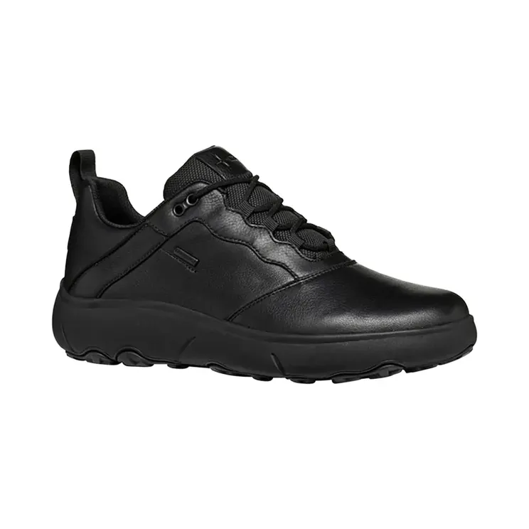 Geox Nebula Black (U46HFA04654C9999)