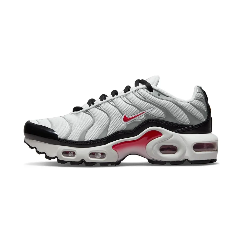 Nike Air Max Plus Grau (CD0609-017)