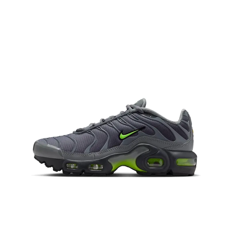 Nike Air Max Plus Grey (IF6169-084)