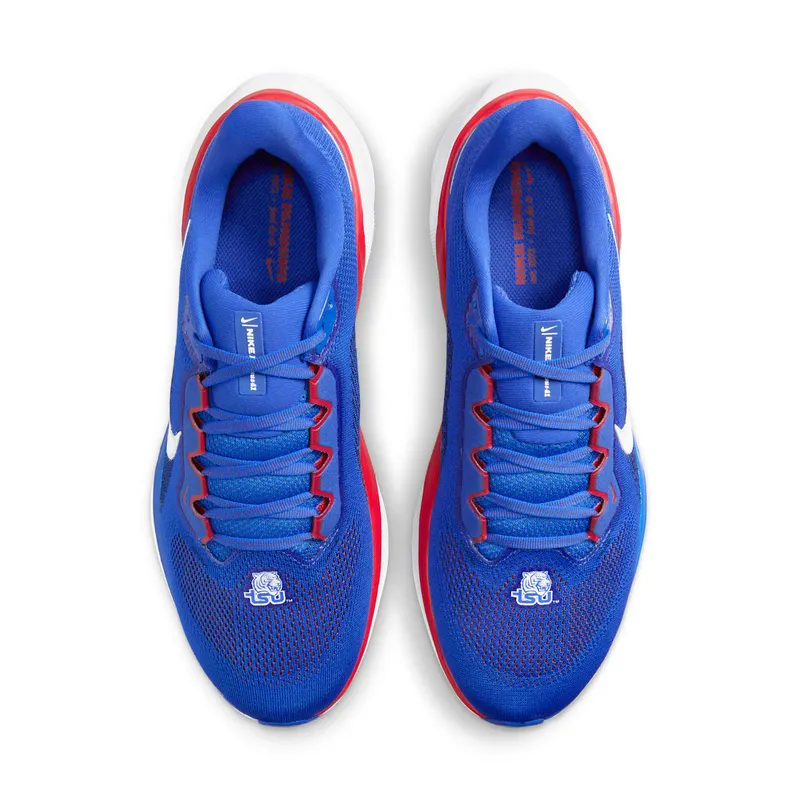 Nike Air Zoom Pegasus 41 Tennessee State (FZ5146-400)