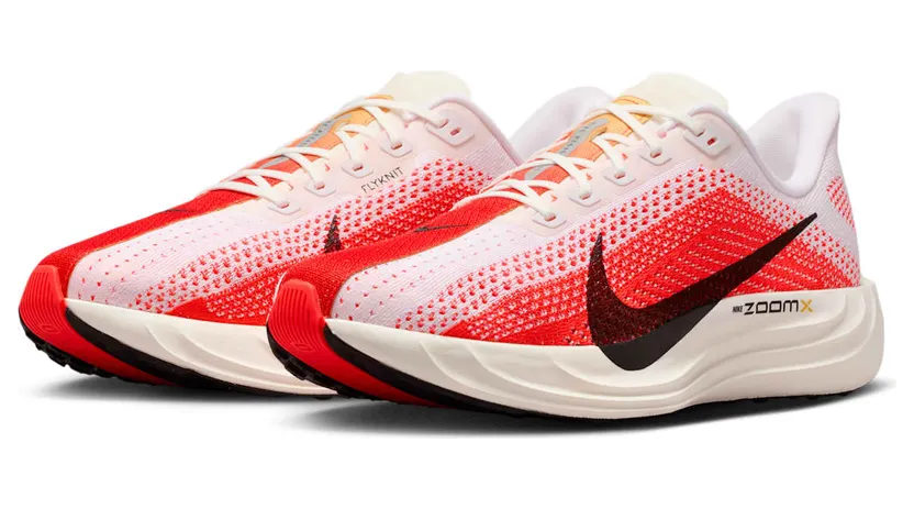 nike-air-pegasus FQ7262-103