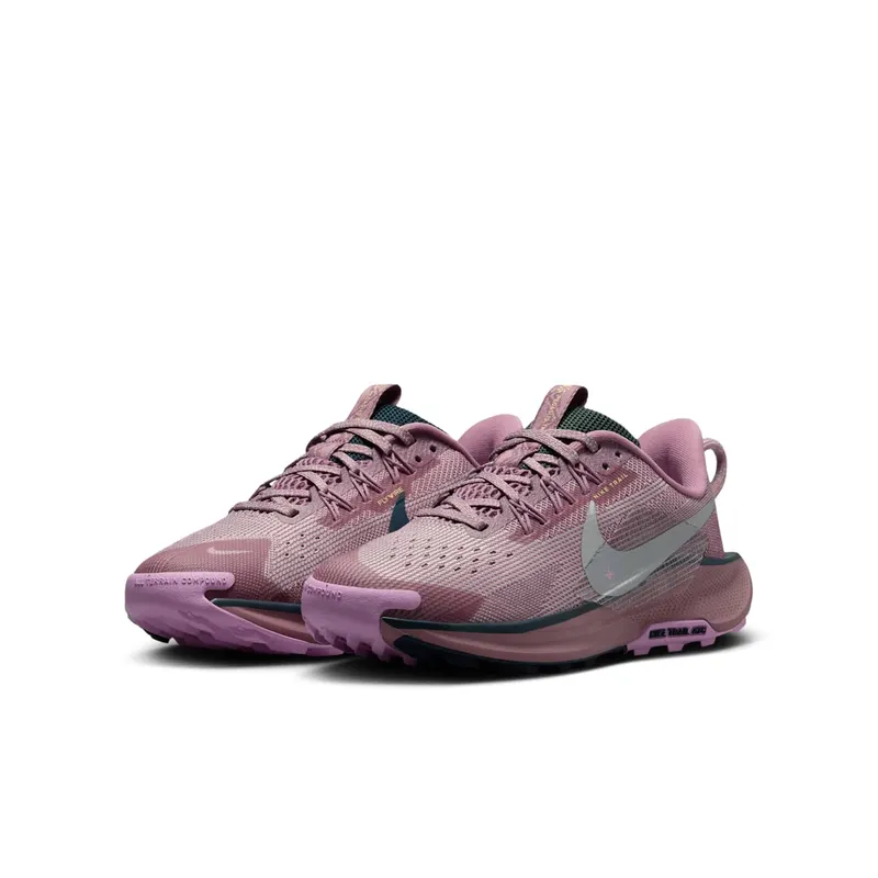 Nike Pegasus Trail 5 Plum Dust Platinum Violet Beyond Pink Metallic Silver (FV5638-500)