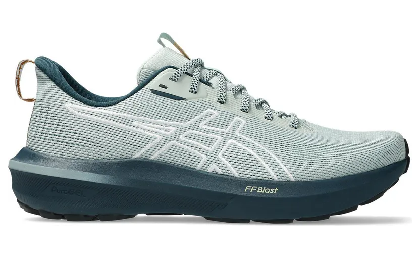 asics-gt-1000 1011C131-300
