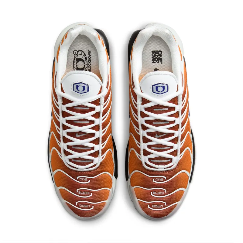 Nike Air Max Plus One Block Down Chutney (FZ3308-700)