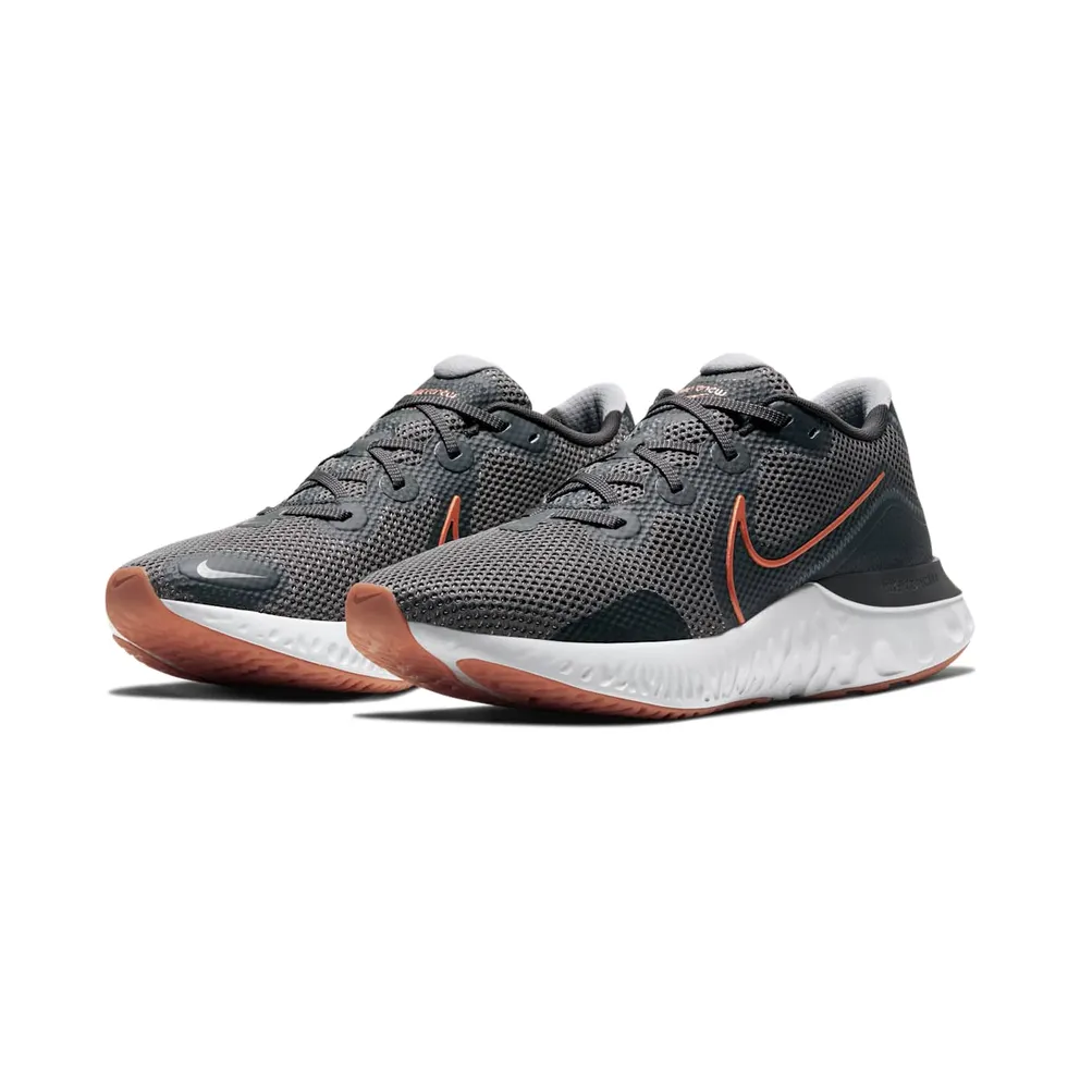 Nike Renew Run Iron Grey Copper (CK6357-004)