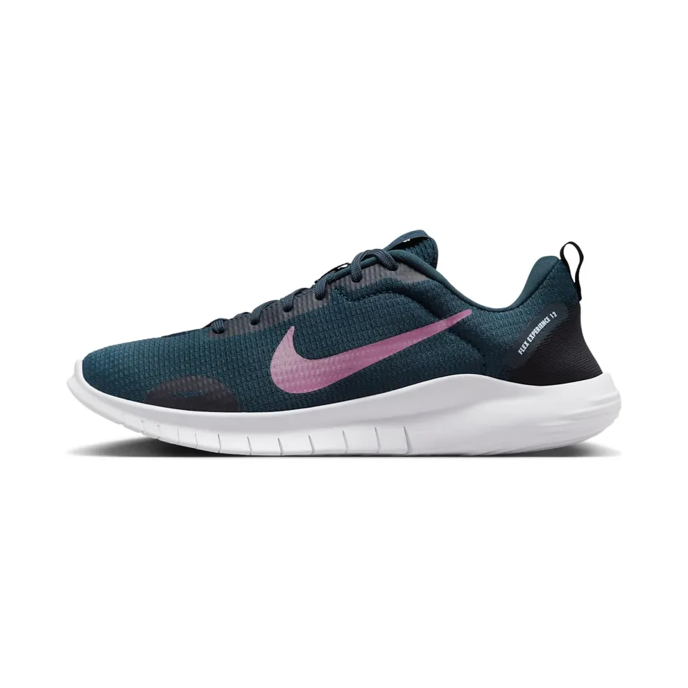 Nike Flex Experience Run 12 Armory Navy Black Football Grey Plum Dust (DV0746-401)
